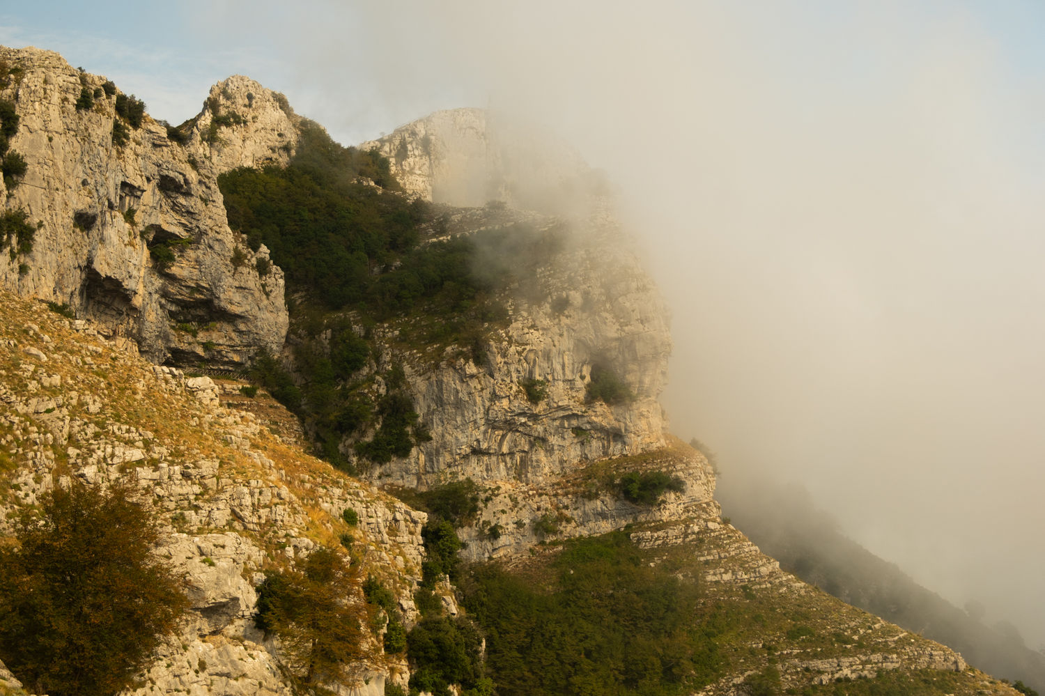 Montagna nella nebbia